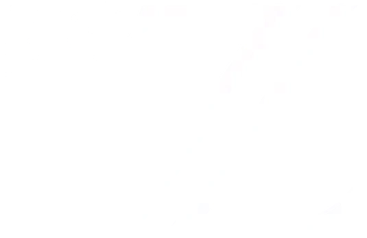 ZOTOV
